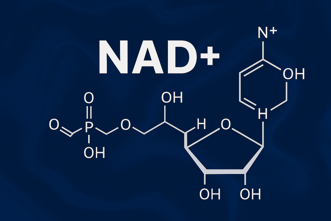 Unlock Your Youth: Benefits of Nicotinamide Riboside (NR)
