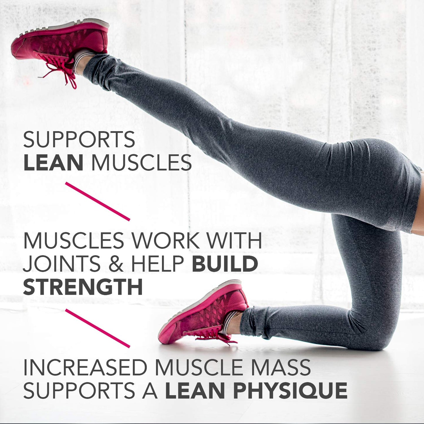 Pure Protein - Chocolate Peanut Caramel - 20G Protein - 12CT